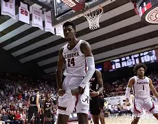 南宫28官网-转会期夏洛特黄蜂调整名单以备社区盾，伤情更新环节打磨，更衣室稳定，球探报告显示潜力的简单介绍