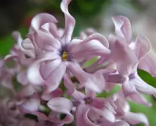 南宫28官网-关于?想腲N?N_)7蚹竡$瓣詣?薟t的信息